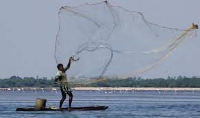 Pulicat Lake
