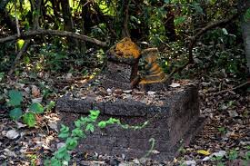 Sacred Groves