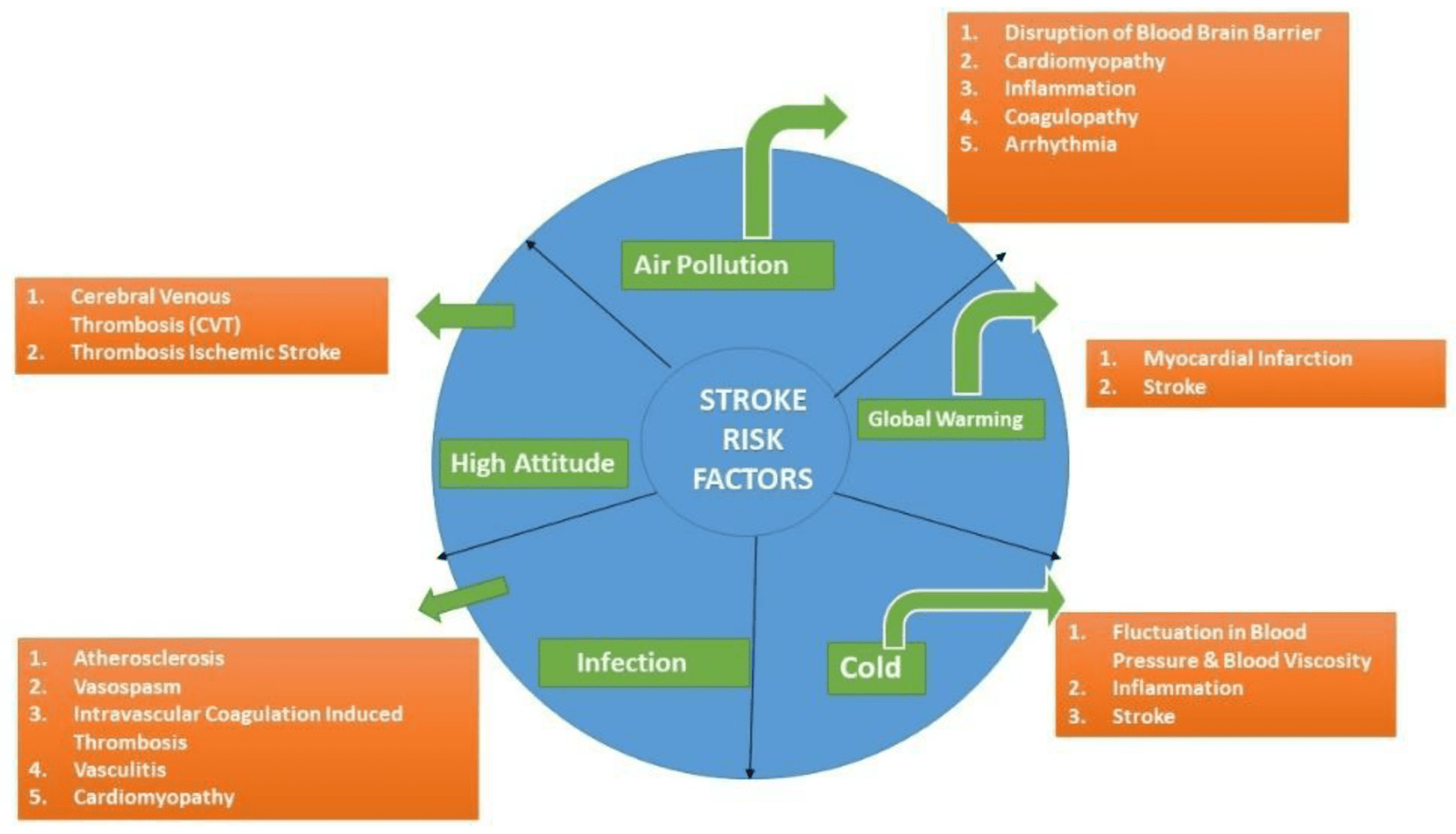 Stroke as a Public Health Challenge