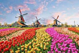 The Netherlands