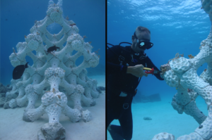 3D-Printed Artificial Reefs for Marine Ecosystem Restoration