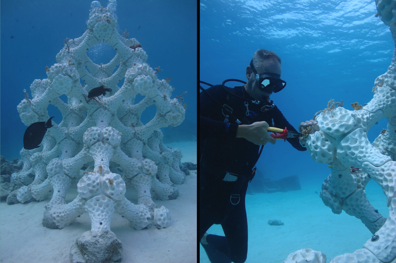 3D-Printed Artificial Reefs for Marine Ecosystem Restoration