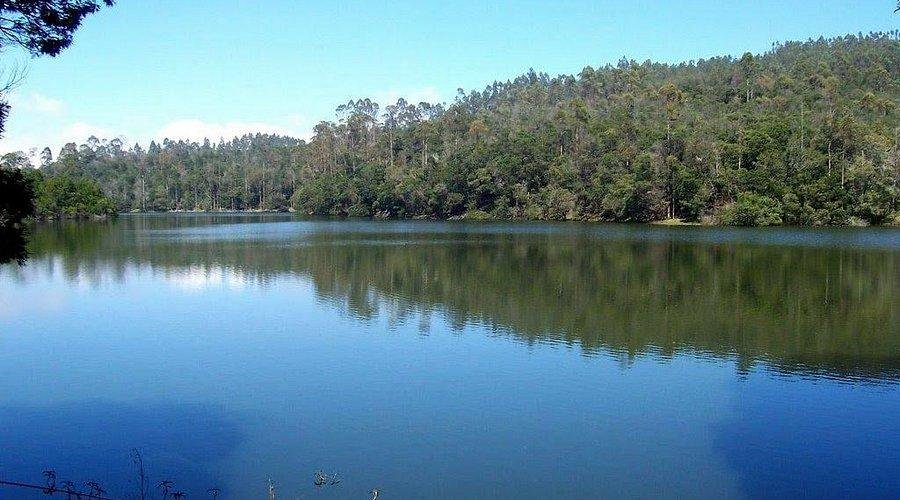 Berijam Lake: A Key Freshwater Ecosystem in the Palani Hills