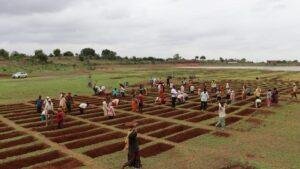Jal Sanchay Jan Bhagidari Initiative