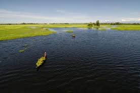 Majuli Island
