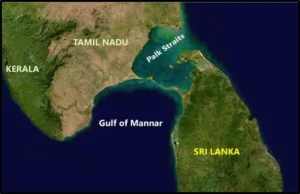 Gulf of Mannar:
