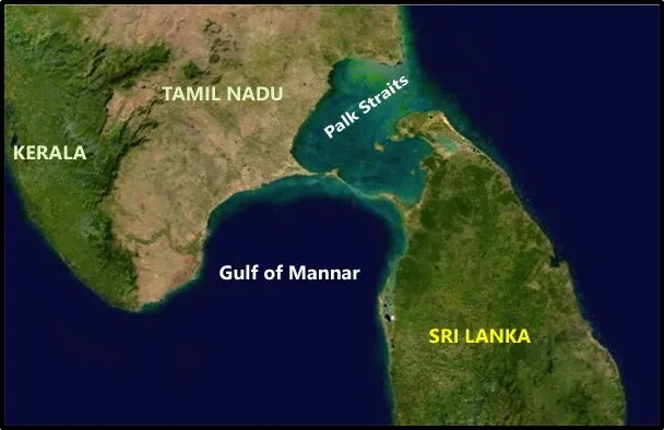 Gulf of Mannar:
