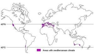 Warm Temperate Western Margin (Mediterranean) Climate
