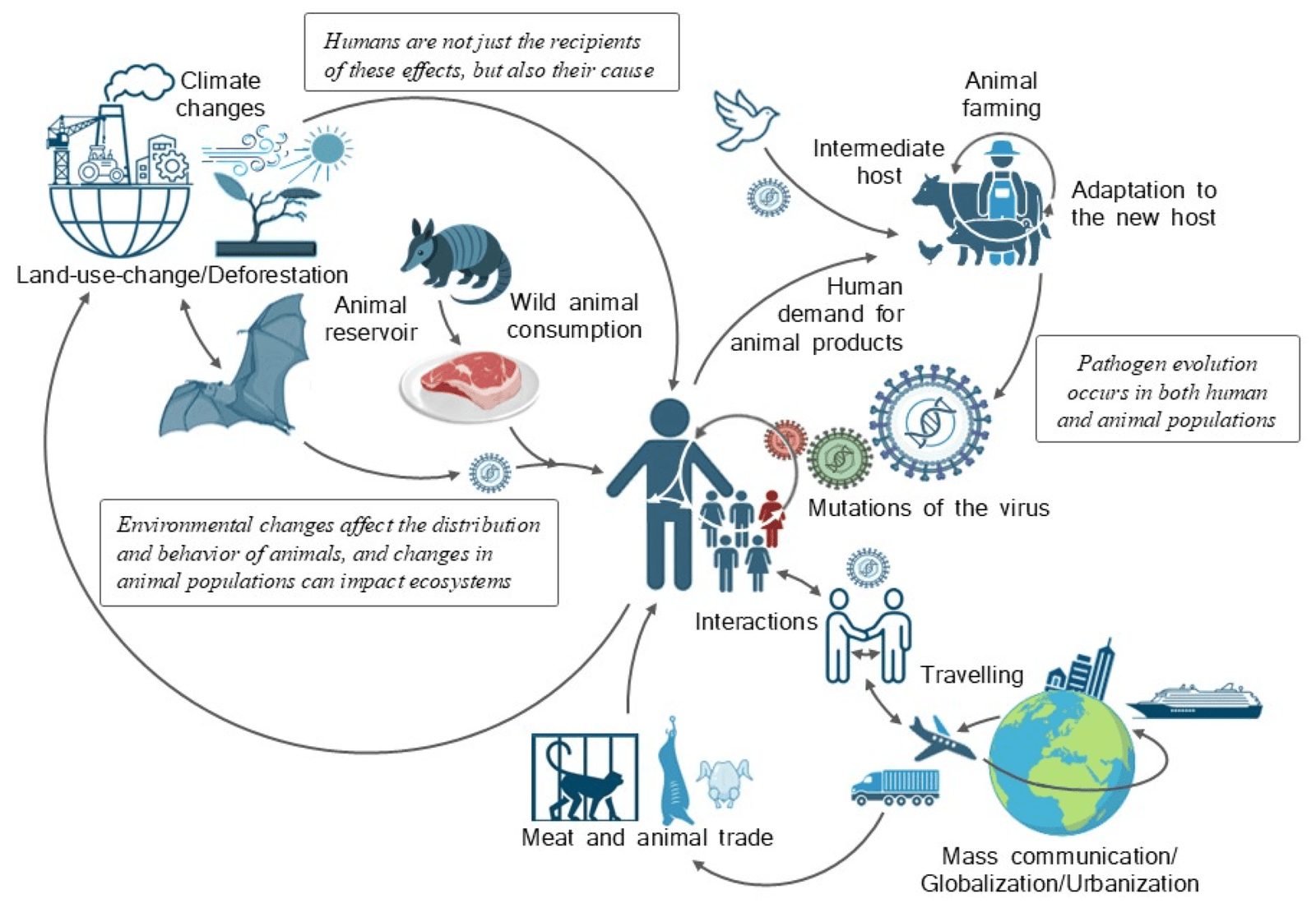 Zoonotic Outbreaks