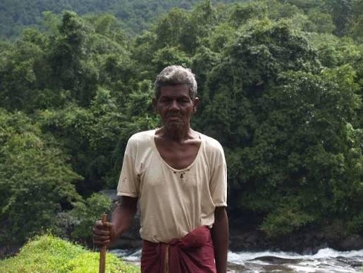 Cholanaikkan Tribe