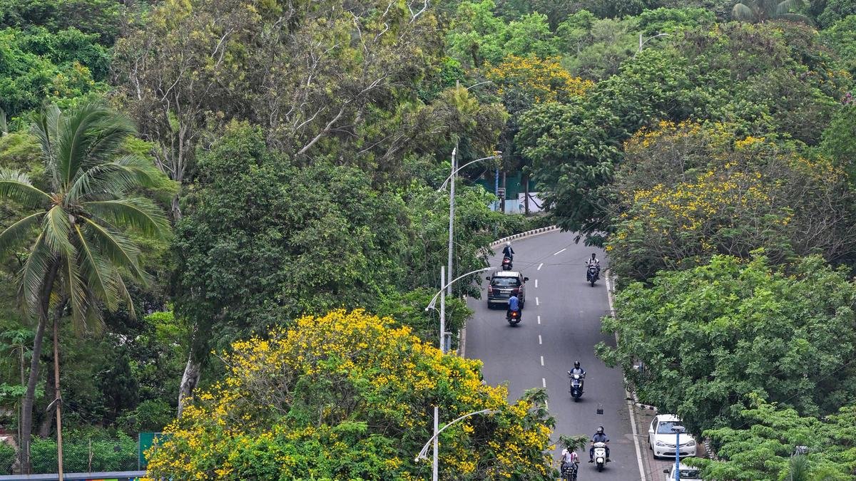 Green India Mission