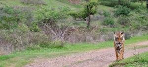 Bhoramdeo Wildlife Sanctuary