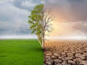 Climate Equity and India’s Climate Action