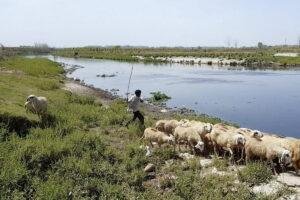 Hindon River