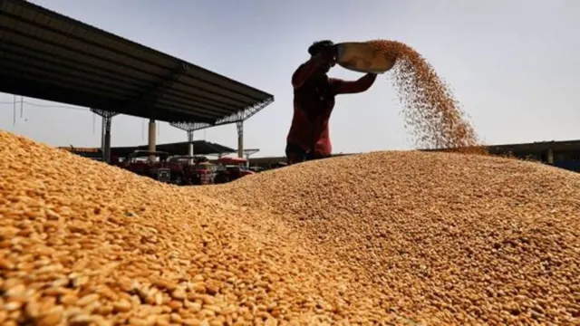 India’s Wheat Exports: Balancing Surplus and Food Security Context