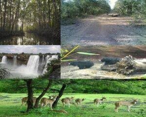 Indravati Tiger Reserve