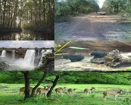Indravati Tiger Reserve