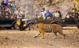 Kawal Tiger Reserve