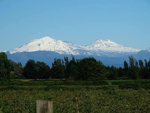Nevados de Chillán Volcano