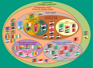 Organisation of Islamic Cooperation (OIC)