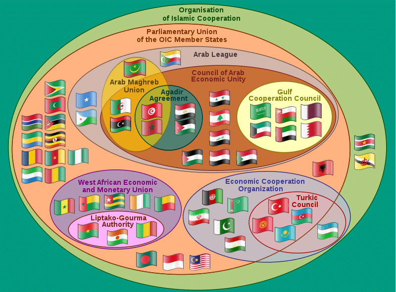 Organisation of Islamic Cooperation (OIC)