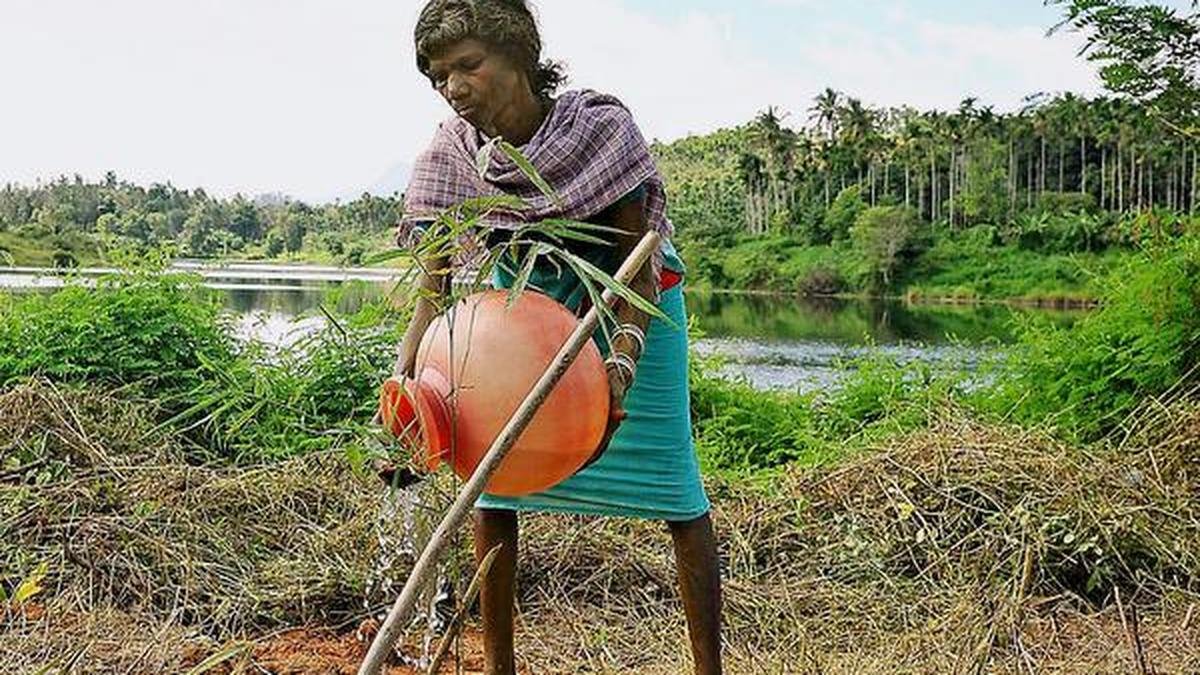 Paniya Tribe