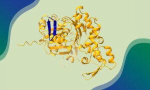 Proteome