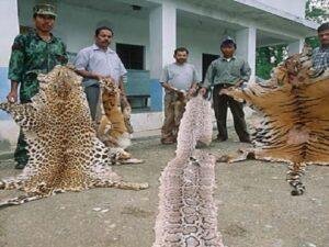 South Asia Wildlife Enforcement Network (SAWEN)