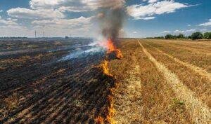 Stubble Burning in India