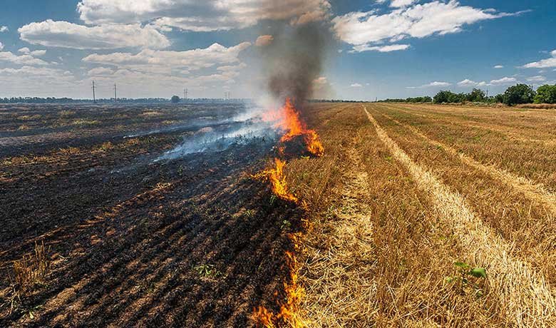 Stubble Burning in India