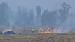 Stubble Burning in North India: