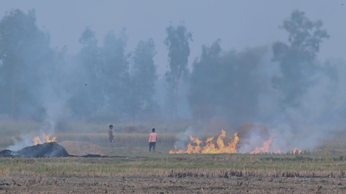 Stubble Burning in North India: