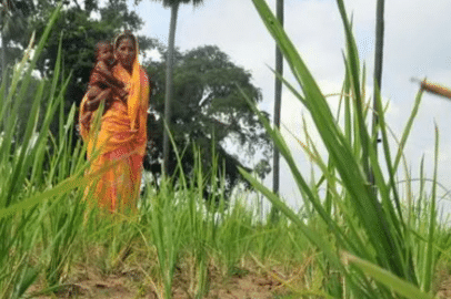 Women Farmers in India