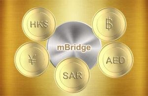 mBridge Project