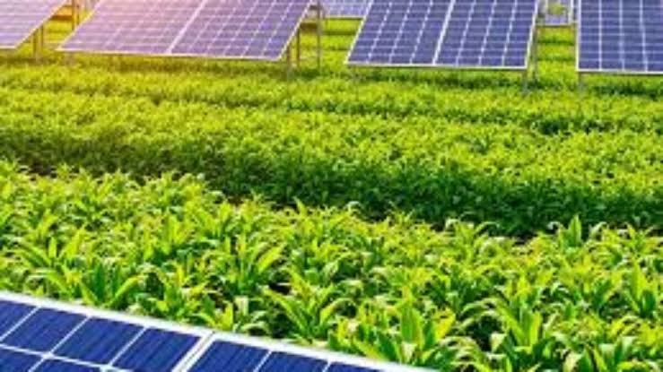 Agrivoltaics (AgriPV)