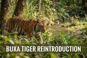 Buxa Tiger Reserve: