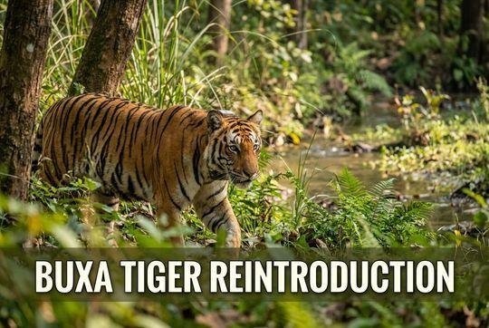 Buxa Tiger Reserve: