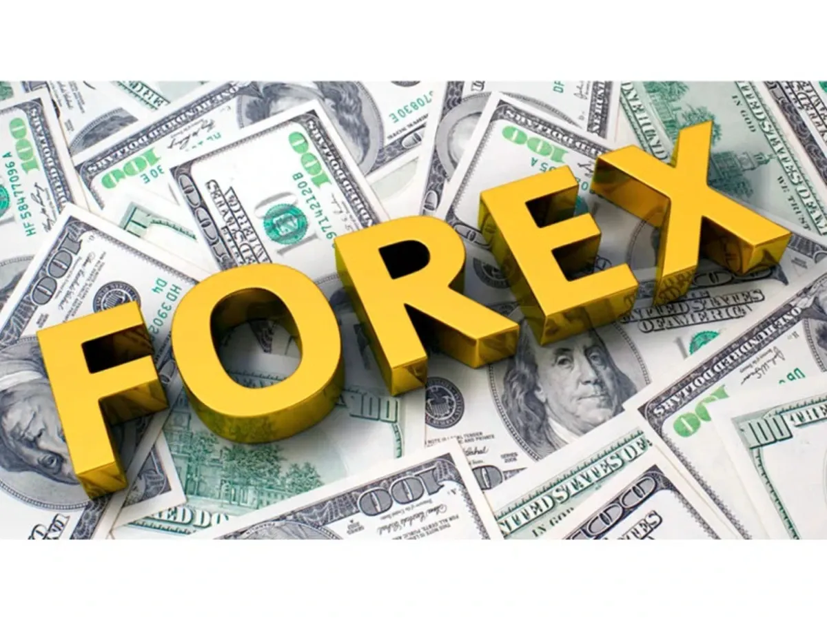 Foreign Exchange Risk Reserve (FERR)