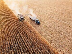 Fossil-Fuel Dependence and Food–Fuel Competition in Indian Agriculture