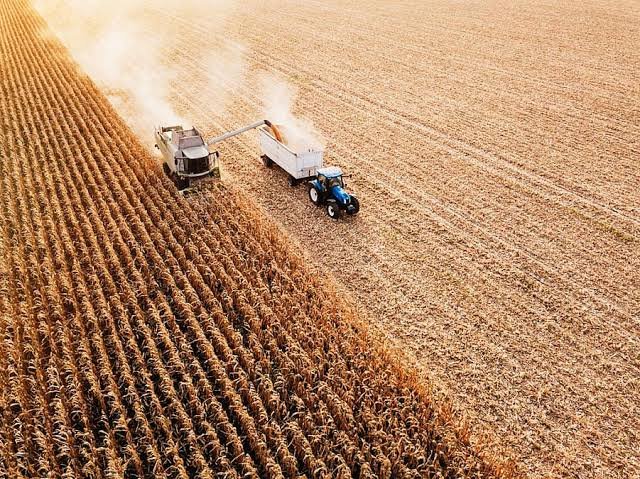 Fossil-Fuel Dependence and Food–Fuel Competition in Indian Agriculture