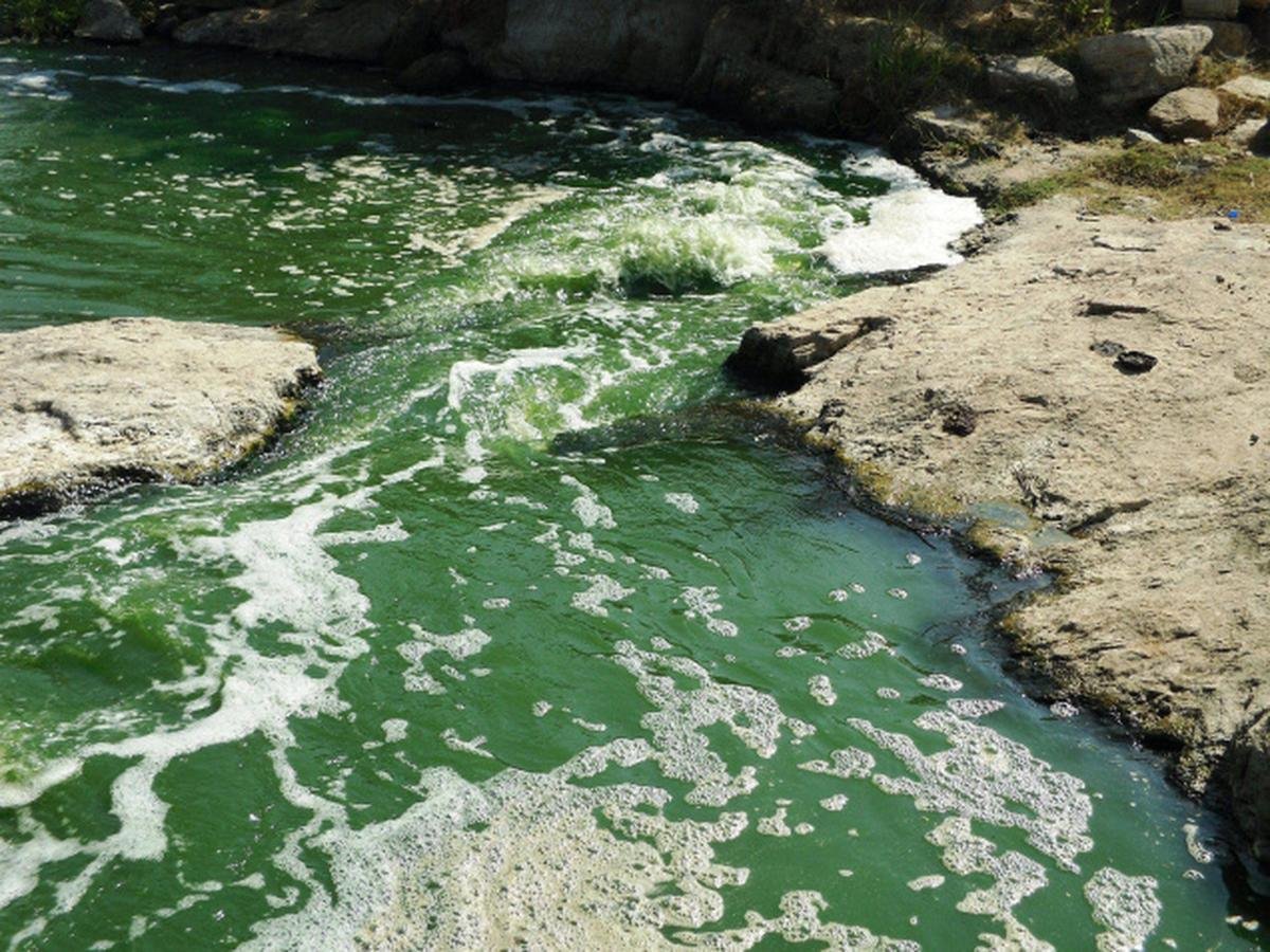 Noyyal River Pollution