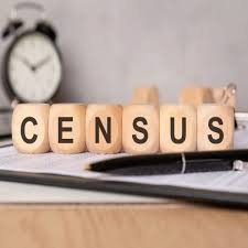 Private Citizens for Census Duty
