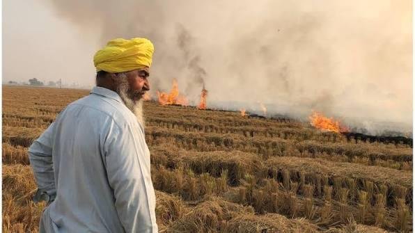 Stubble Burning in India
