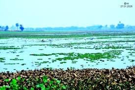 Sukhna Wetland and Sauj Jheel
