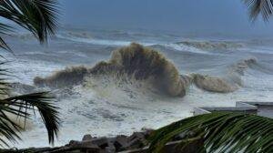 Swell Waves