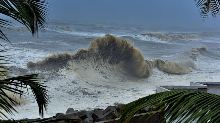 Swell Waves