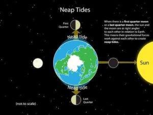 Tides